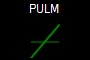 PULM